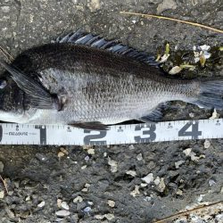 イチノ兄弟、釣果!