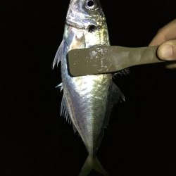 型はいいが、、、