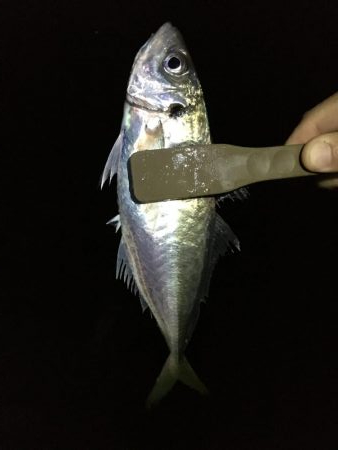 型はいいが、、、