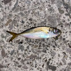 深夜のライトゲーム