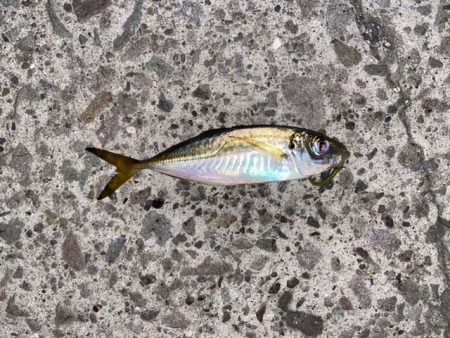 深夜のライトゲーム