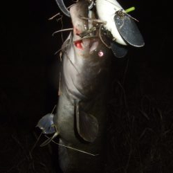 なかなか乗せきれず