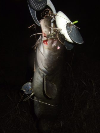 なかなか乗せきれず