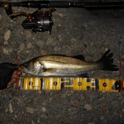 もう少しヒットが欲しい所