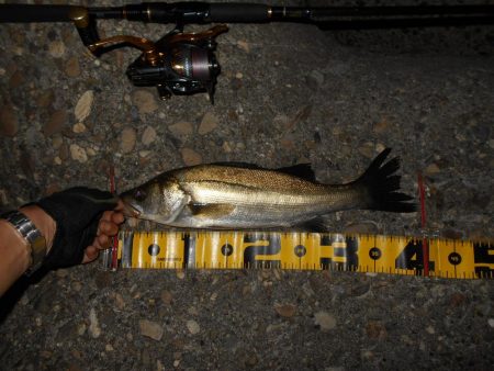 もう少しヒットが欲しい所