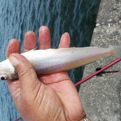 日ムラの激しい播磨新島のキス