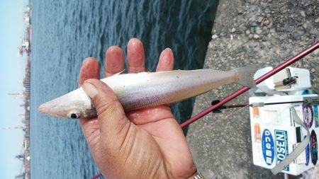 日ムラの激しい播磨新島のキス