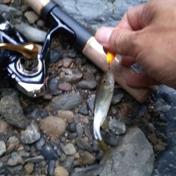 秋の夕暮れチャビング