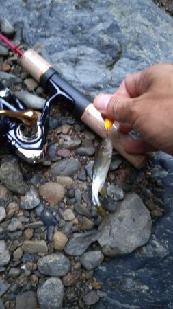 秋の夕暮れチャビング