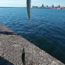 活性が上がらない播磨新島のキス