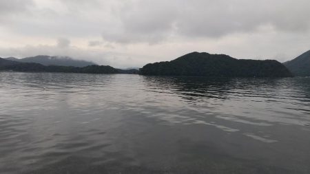 サゴシ跳ねてます❗️