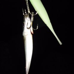 強風でもライトゲーム