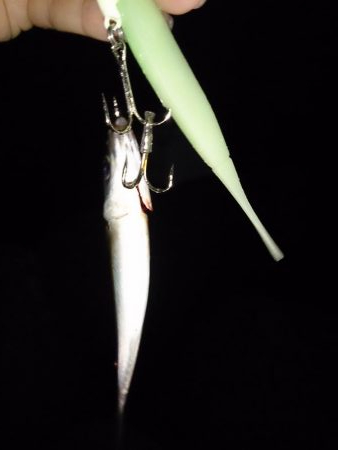 強風でもライトゲーム