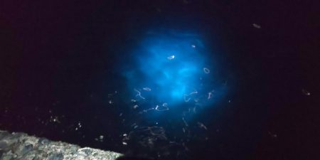 毎度です。アオリ渋かった~