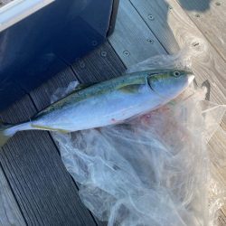 体力なくて情けない