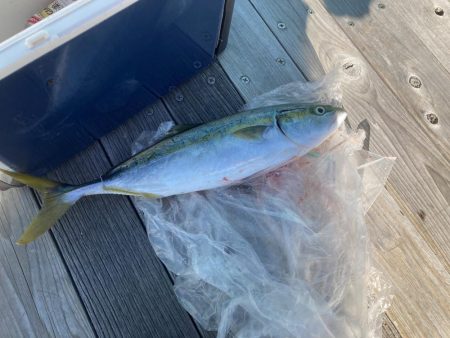 体力なくて情けない