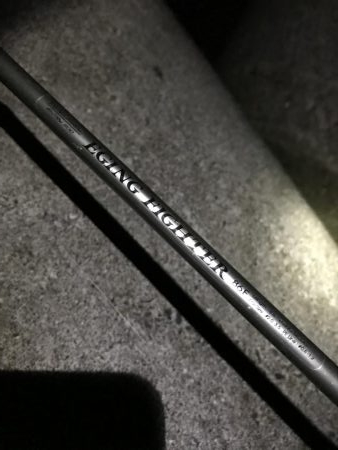 良型太刀魚、青物ボウズ