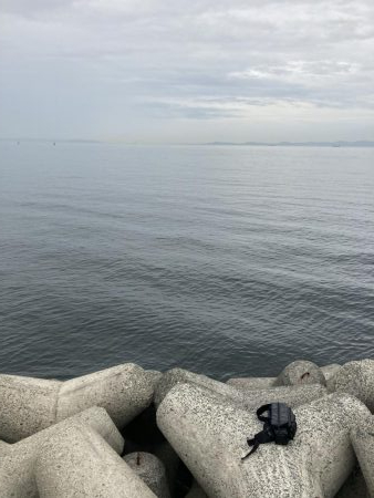 貝塚人工島 ツバス