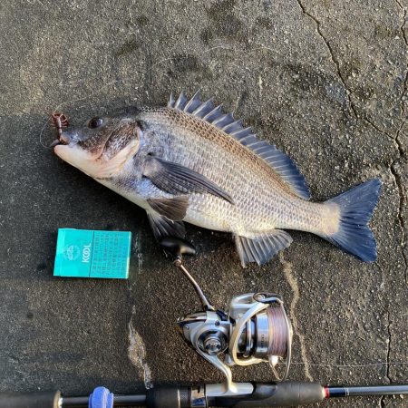 久しぶりの釣行