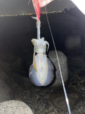 今日、風吹く予報？