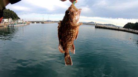 塩津漁港での釣行!