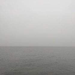 ジグサビキでアジ