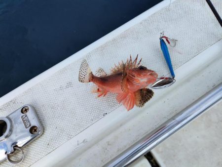 ボート釣りとはいえ渋かった・・・