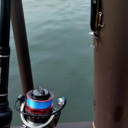 自作ルアー(トップ)でサバ