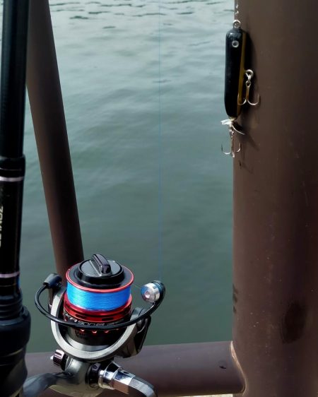 自作ルアー(トップ)でサバ