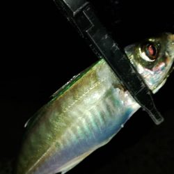 フロートゲーム～