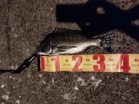 秋イカエギング＆お暇のメバリング！