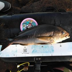 フカセ‥最高ですネ・・モーニングサービス・・