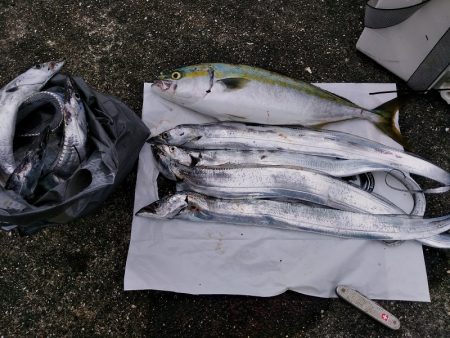 今回はダイソージグで