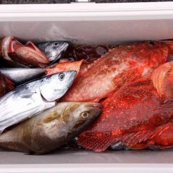 康仁丸・ジギング釣り果