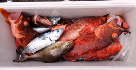 康仁丸・ジギング釣り果