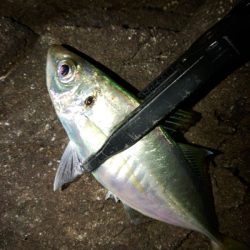 フロートゲーム～