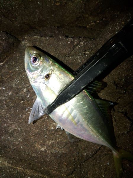 フロートゲーム～