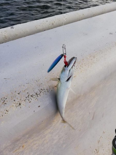 初めてのタチウオ釣り