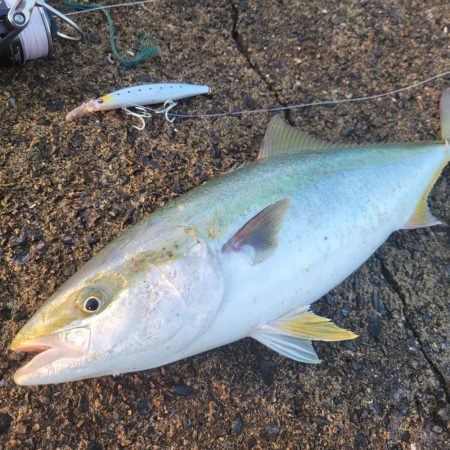 久しぶりのショアジギング