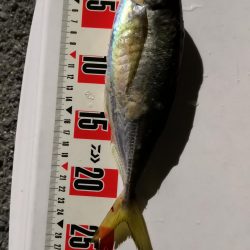 潮攻略！！？？