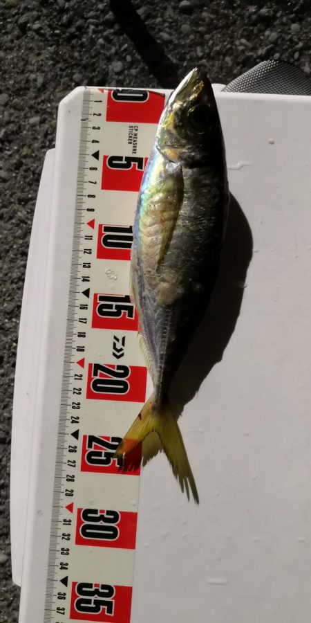 潮攻略！！？？