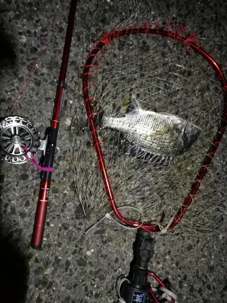 2021/09/28 南港ヘチ釣り