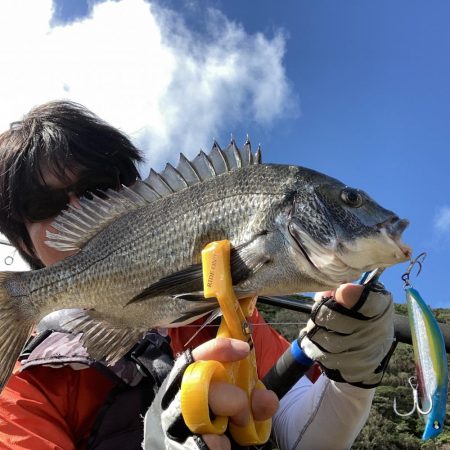 A.P.Pフィッシングガイドサービス　ヒラ…