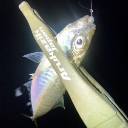 軽量ジグヘッドの着底の取り方