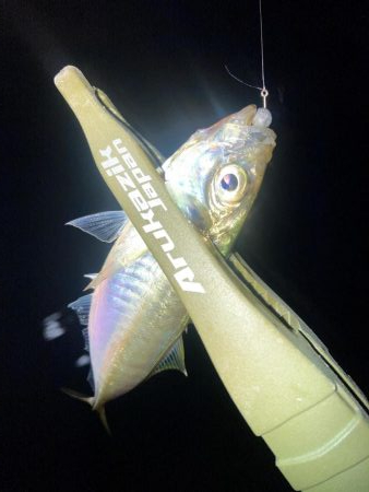 軽量ジグヘッドの着底の取り方