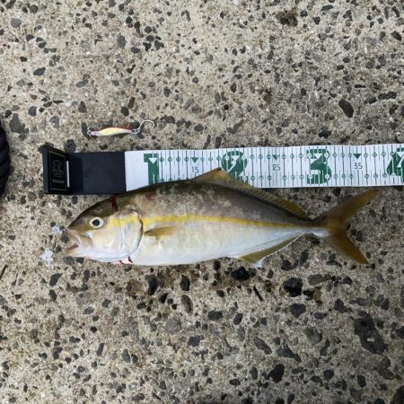 A.P.Pフィッシングガイドサービス　メタルトスでポイントチェックも本命ヒットはなし！