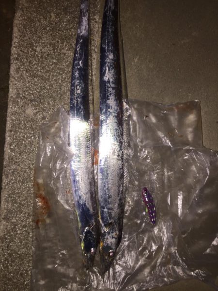 ダイワのサムライ太刀 ケミバイブはいいね