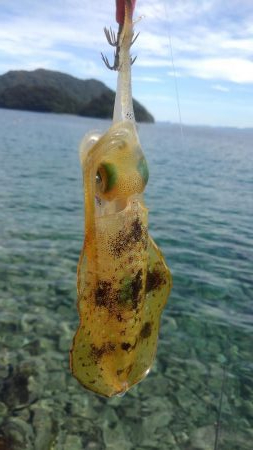 真っ昼間のランガン調査。