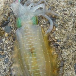 台風真っ只中まさかの?