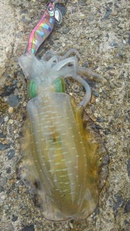 台風真っ只中まさかの?